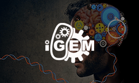 iGEM International Genetically Engineered Machine competition