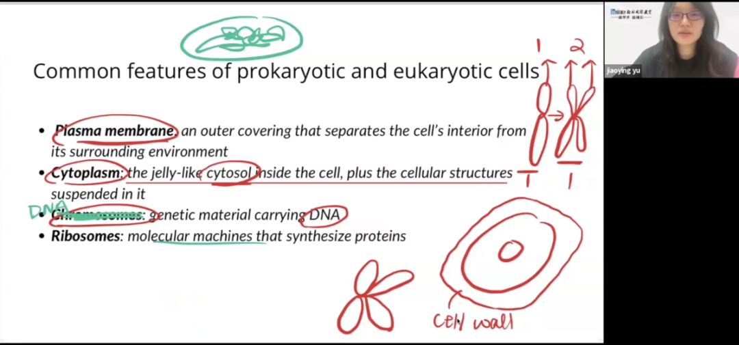 Annotated biology revision notes